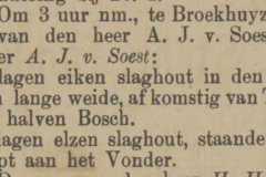 Venloosch nieuwsblad 14-01-1899 AJ van Soest. Hout